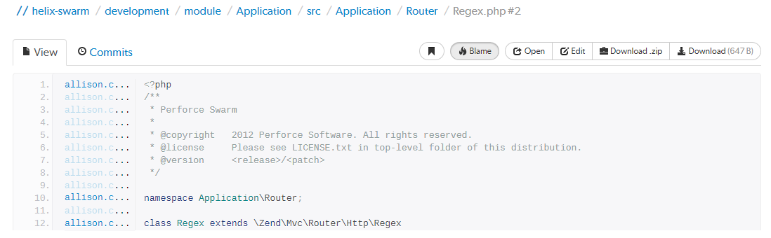 A displayed text file with blame Example text file with blame image