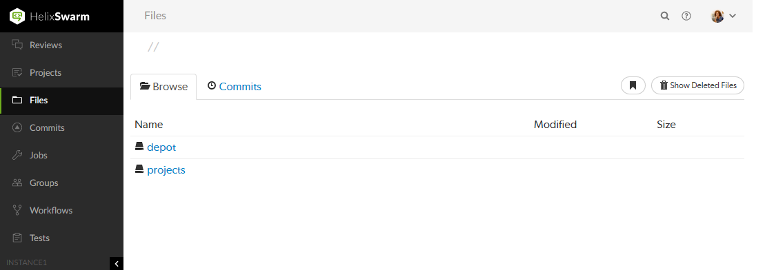 Files Browse tab Files Browse tab image